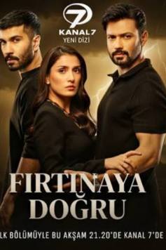 Fırtınaya Doğru