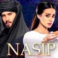 Nasip