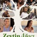 Zeytin Ağacı